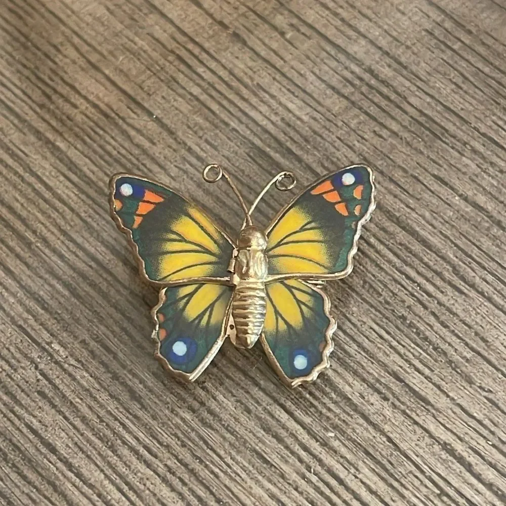 Vintage Colorful Butterfly Pin Resin Wings